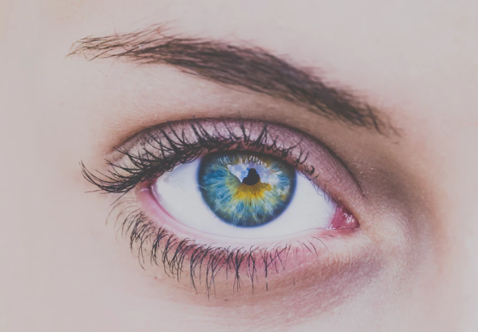 Quels « psy » choisir ? Quels « psy » choisir ?